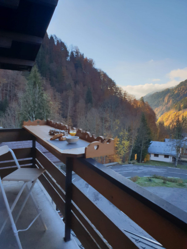 vue_du_balcon.jpg vue_du_balcon.jpg