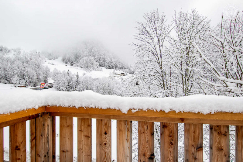 VUE D'HIVER DEPUIS LA TERRASSE PRIVATIVE - © H. Girard VUE D'HIVER DEPUIS LA TERRASSE PRIVATIVE