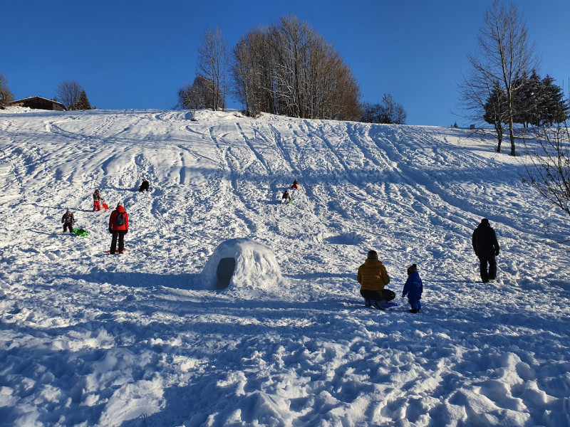 Grépon - Aux Chalets des Alpes_Crest-Voland Grépon - Aux Chalets des Alpes_Crest-Voland