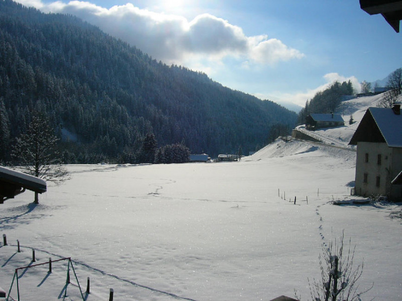 Les rhodos Les rhodos