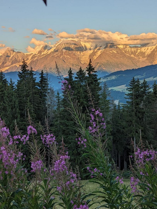 Trop beau couché de soleil !!! Trop beau couché de soleil !!!