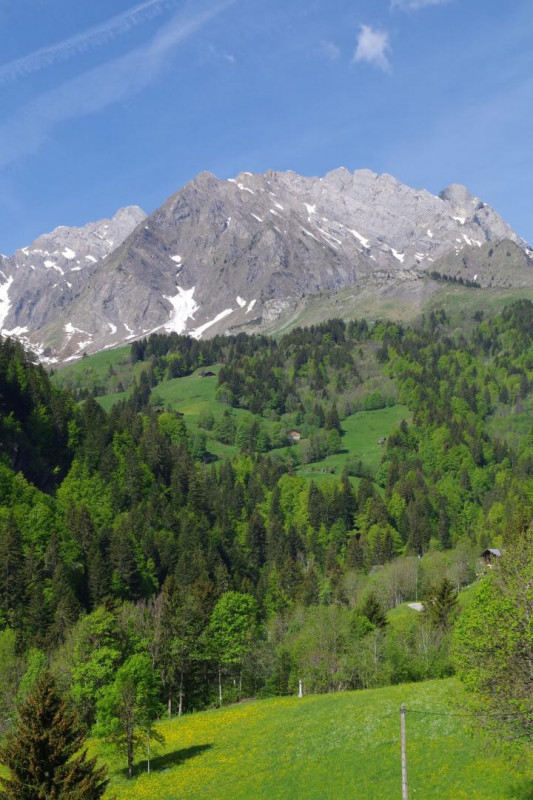 L'ETALE EN ÉTÉ, VUE DEPUIS LA TERRASSE L'ETALE EN ÉTÉ, VUE DEPUIS LA TERRASSE