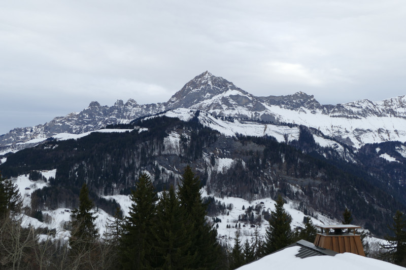 Vue Hiver - © Gins.D - OTI VDA Vue Hiver