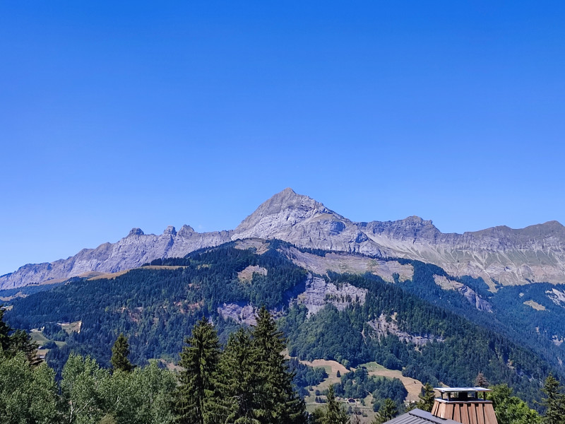 vue été - © Gins.D - OTI VDA vue été