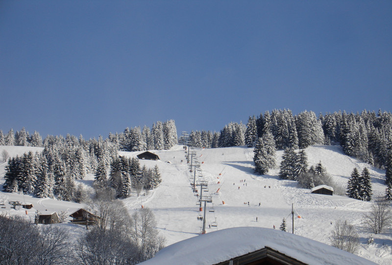 Grépon - Aux Chalets des Alpes_Crest-Voland Grépon - Aux Chalets des Alpes_Crest-Voland