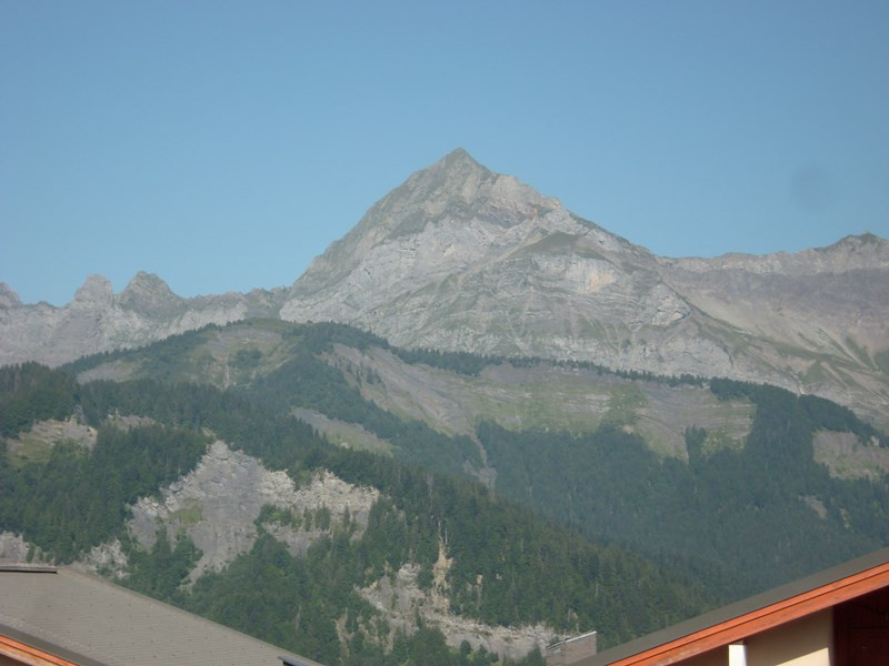 _clients_227359002_photos_115q_7365940