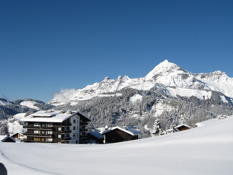 _clients_227359002_photos_12h_7081227