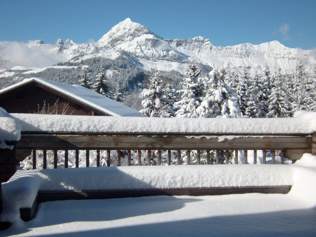 _clients_227359002_photos_169p_7639066 _clients_227359002_photos_169p_7639066