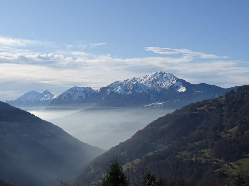 _clients_227359002_photos_181j_6797183 _clients_227359002_photos_181j_6797183