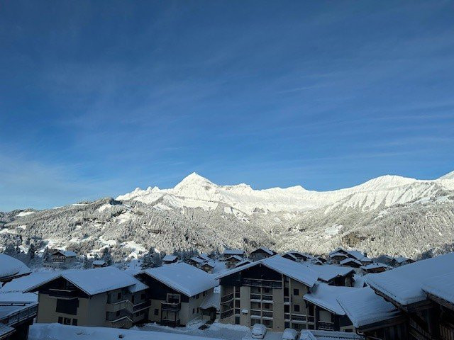 _clients_227359002_photos_185v_7559044