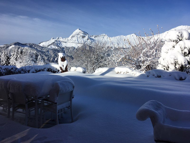 _clients_227359002_photos_215w_7171493