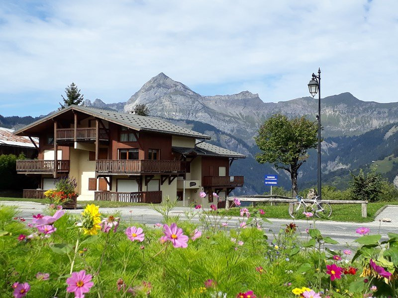 _clients_227359002_photos_223a_7613561