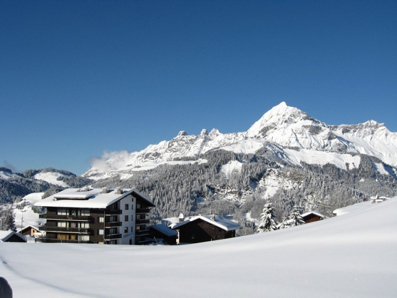 _clients_227359002_photos_246p_7639412 _clients_227359002_photos_246p_7639412