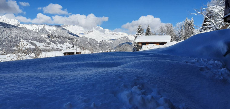 _clients_227359002_photos_255p_7031752 _clients_227359002_photos_255p_7031752