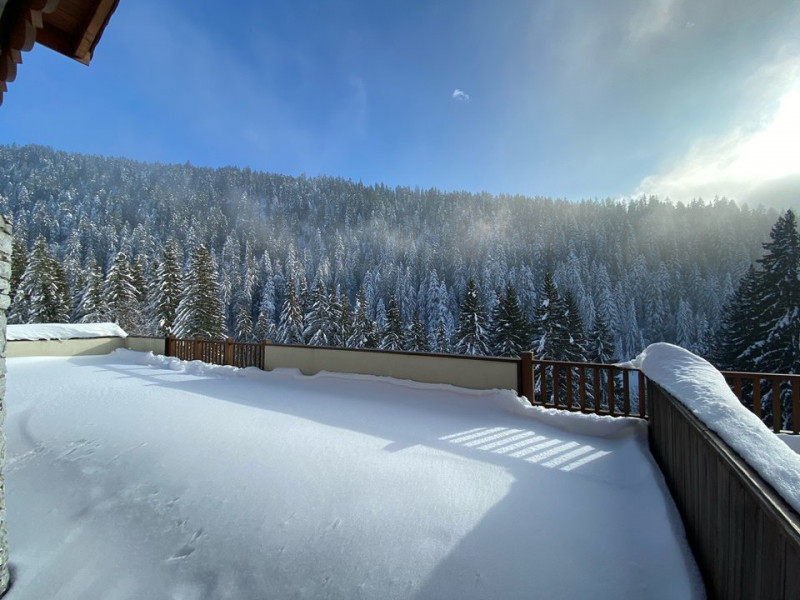 _clients_227359002_photos_294i_6936331