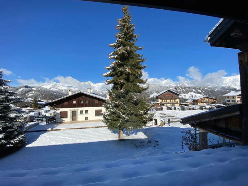 _clients_227359002_photos_299g_7506545