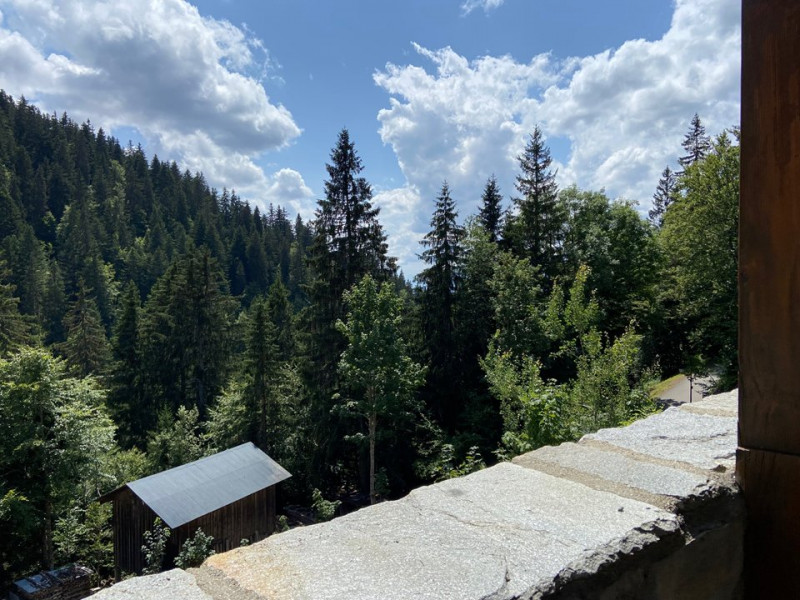 _clients_227359002_photos_303h_7510553