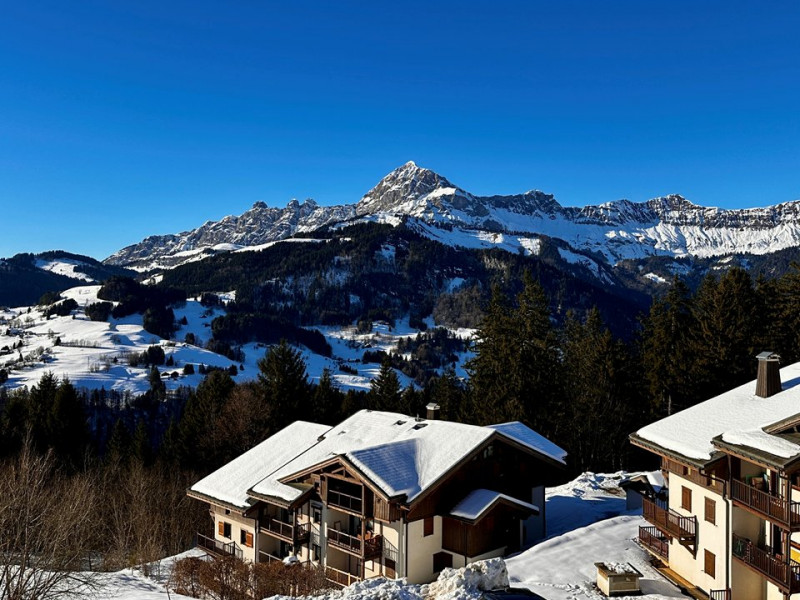 _clients_227359002_photos_322i_6844146 _clients_227359002_photos_322i_6844146