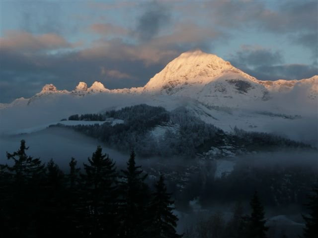 _clients_227359002_photos_330n_7719116