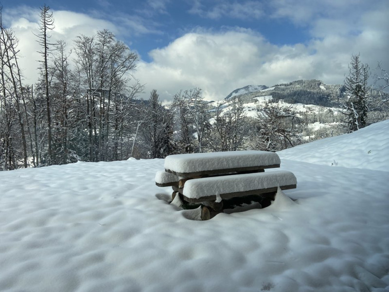 _clients_227359002_photos_349x_7457343