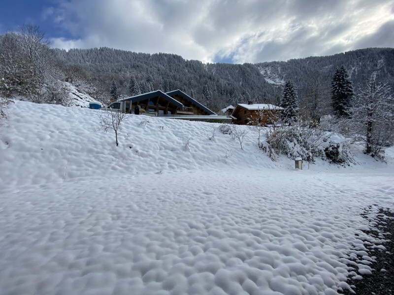 _clients_227359002_photos_349z_6892549 _clients_227359002_photos_349z_6892549