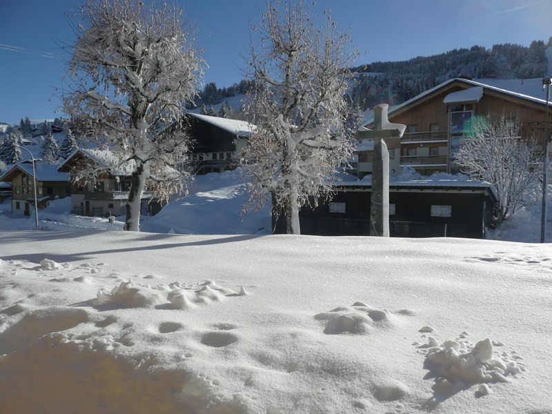 _clients_227359002_photos_73j_7614884