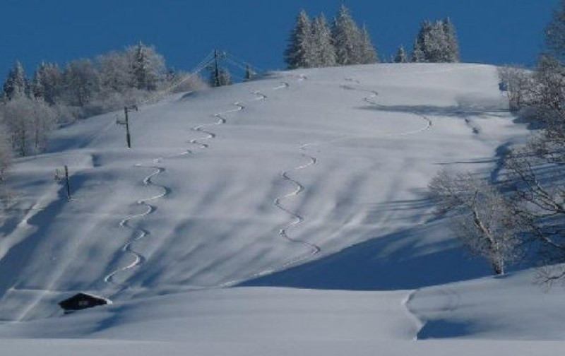 _clients_227359002_photos_82f_7411256