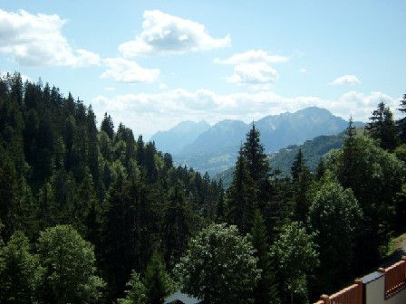 _clients_227359002_photos_93j_7055710 _clients_227359002_photos_93j_7055710