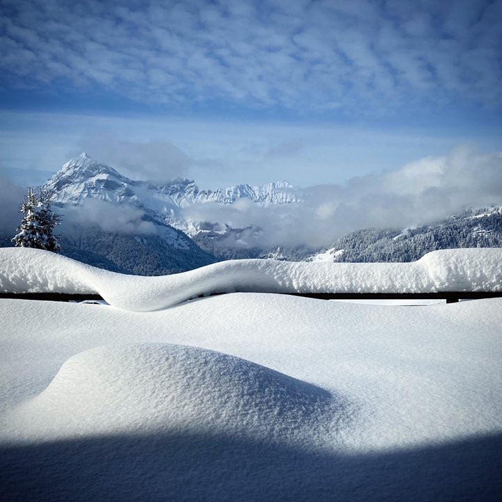 _clients_227359002_photos_9j_7077537