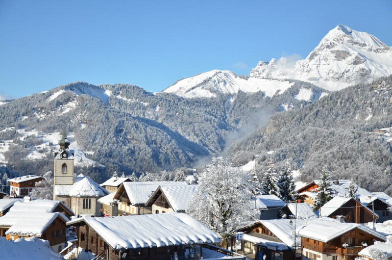 _clients_227459001_photos_17623v_7077655