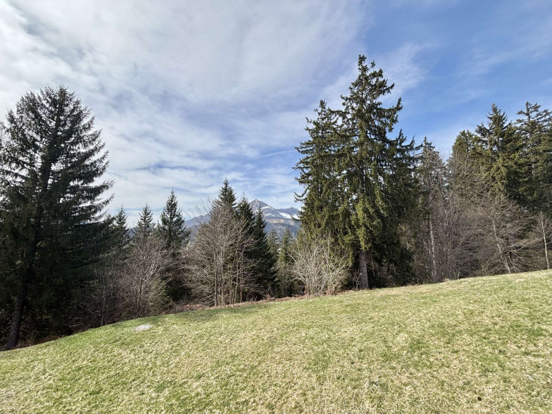 _clients_227459001_photos_17658r_7339309