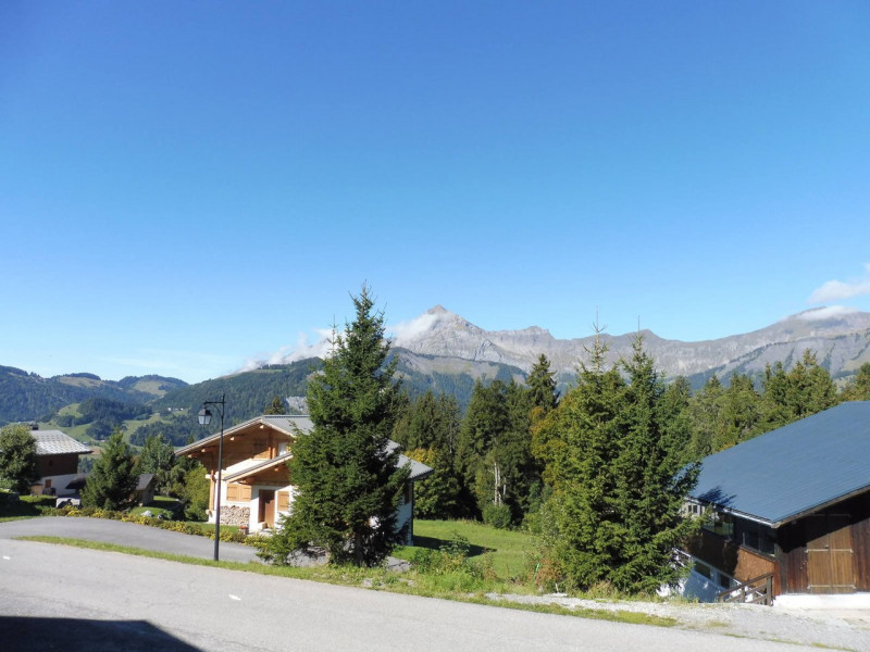 _clients_227459001_photos_17661f_8362036
