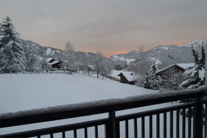 _clients_227459001_photos_17750j_7651575 _clients_227459001_photos_17750j_7651575