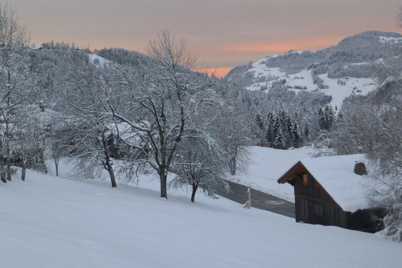 _clients_227459001_photos_17750k_7056848