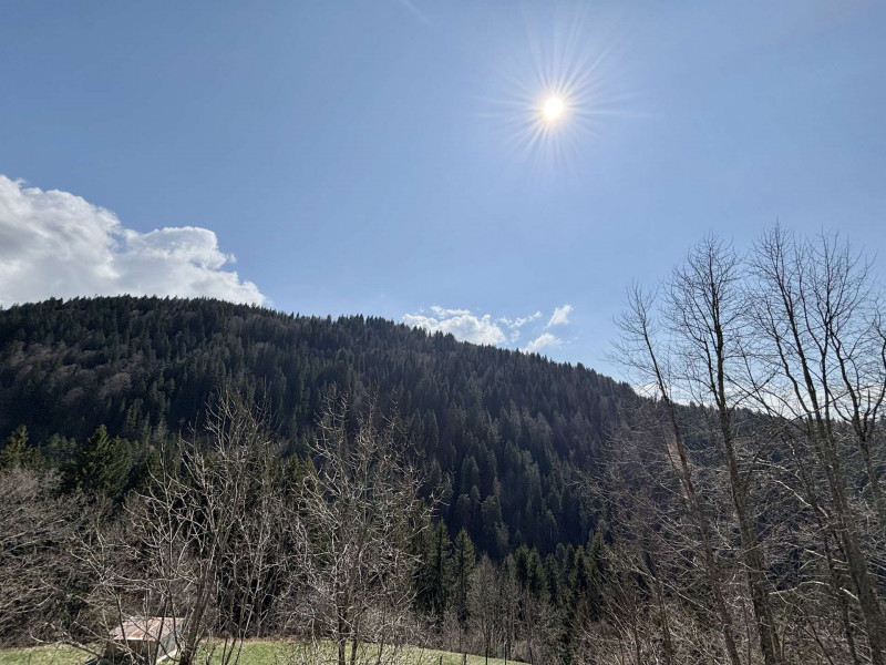 _clients_227459001_photos_17777n_7351823