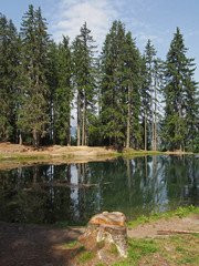 _clients_227459001_photos_18329s_5802585