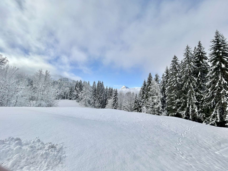 _clients_227459001_photos_24034al_7738900