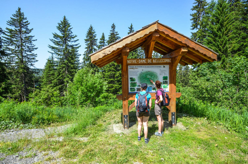 _lv_images__imme_0000000002_09_6741995