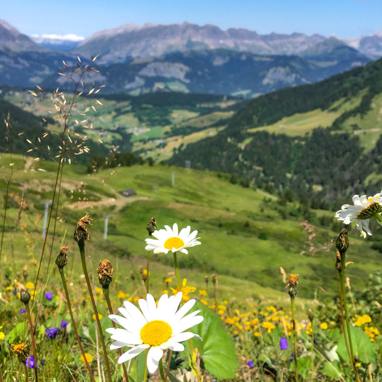 Vue été Vue été