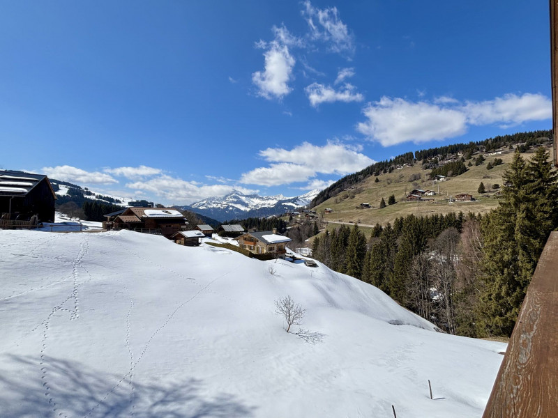 _lv_images__imme_0000000014_10_8086001