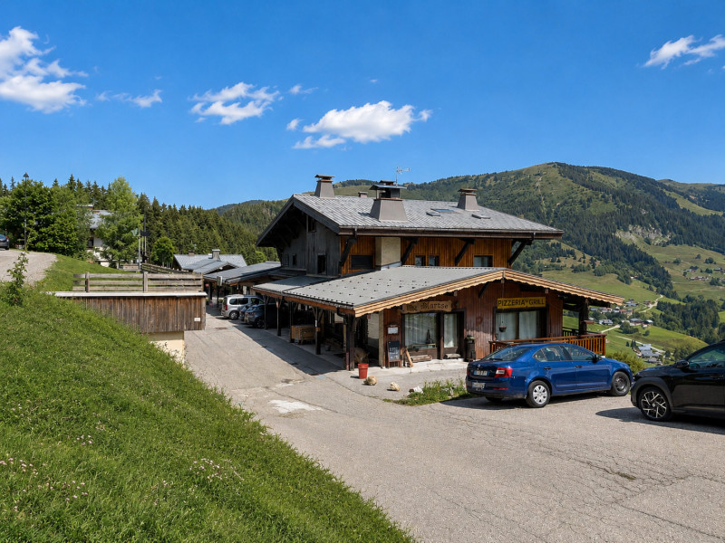 _lv_images__imme_0000000085_01_8492802