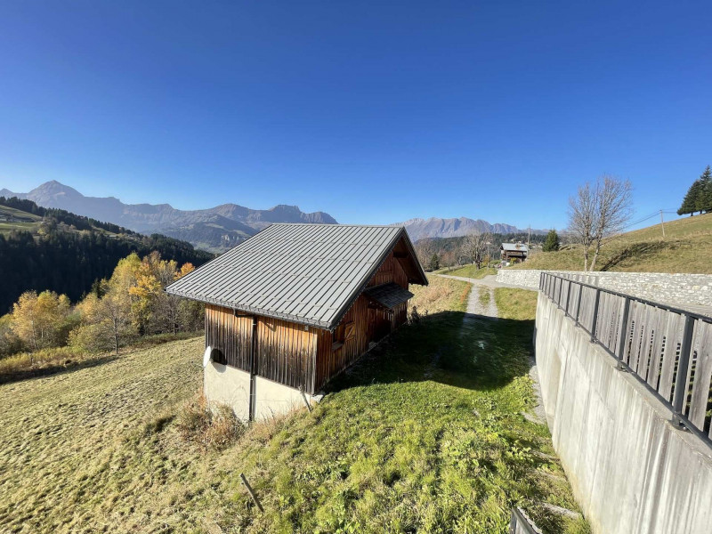 _lv_images__imme_0000000105_06_7159610