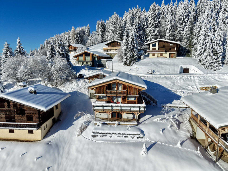 _lv_images__imme_0000000228_01_7653770