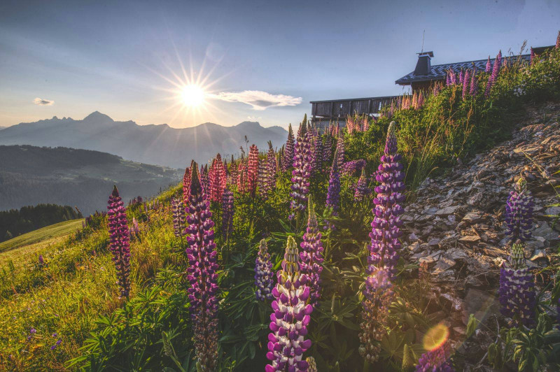 _lv_images__imme_0000000272_12_8436617