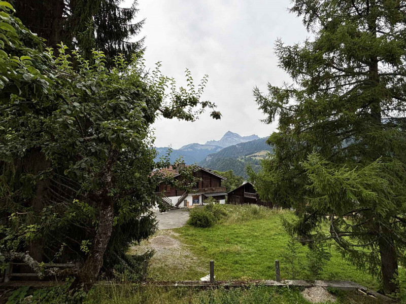 _lv_images__imme_0000000286_08_6828740 _lv_images__imme_0000000286_08_6828740