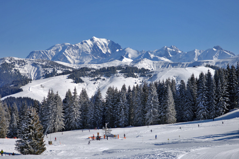 _lv_images__imme_0000000287_06_7785464