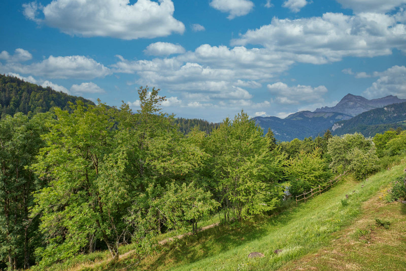 Vue été