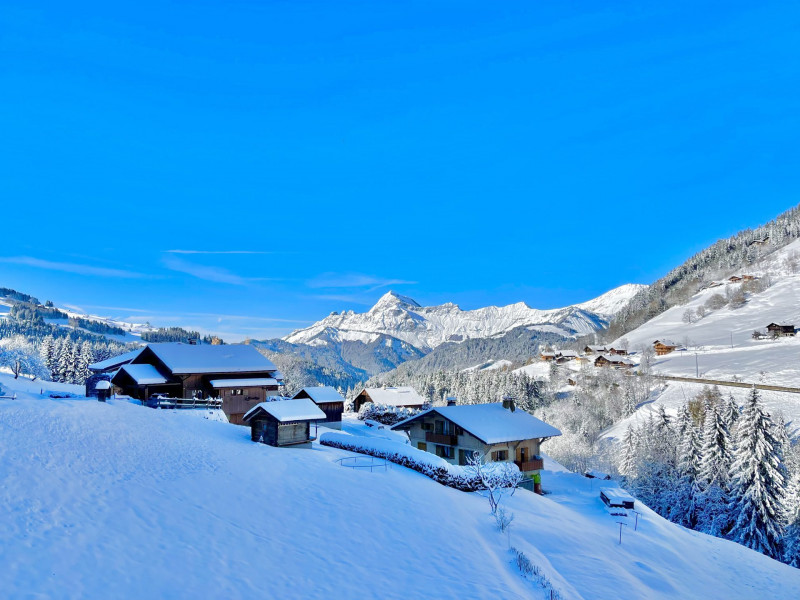 _lv_images__lot_0000140075_02_7022684 _lv_images__lot_0000140075_02_7022684