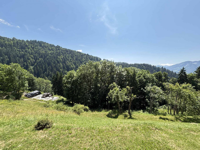 _lv_images__lot_0000970306_06_7453300 _lv_images__lot_0000970306_06_7453300