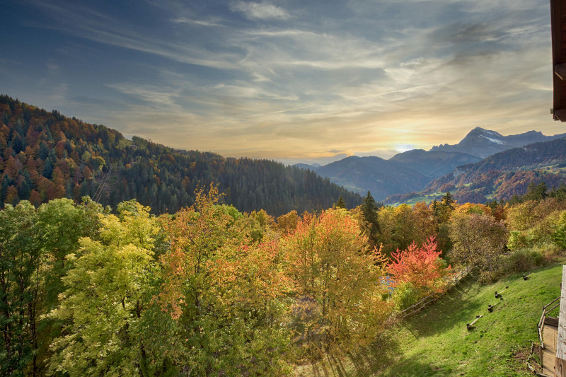 _lv_images__lot_0000970339_10_6777262 _lv_images__lot_0000970339_10_6777262